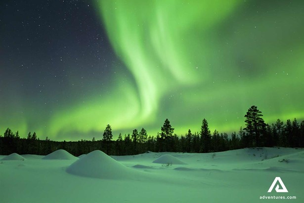bright green northern lights in forest field in finland