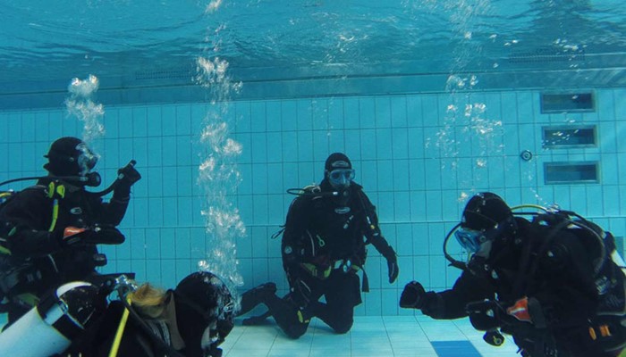 divers in swimming pool training
