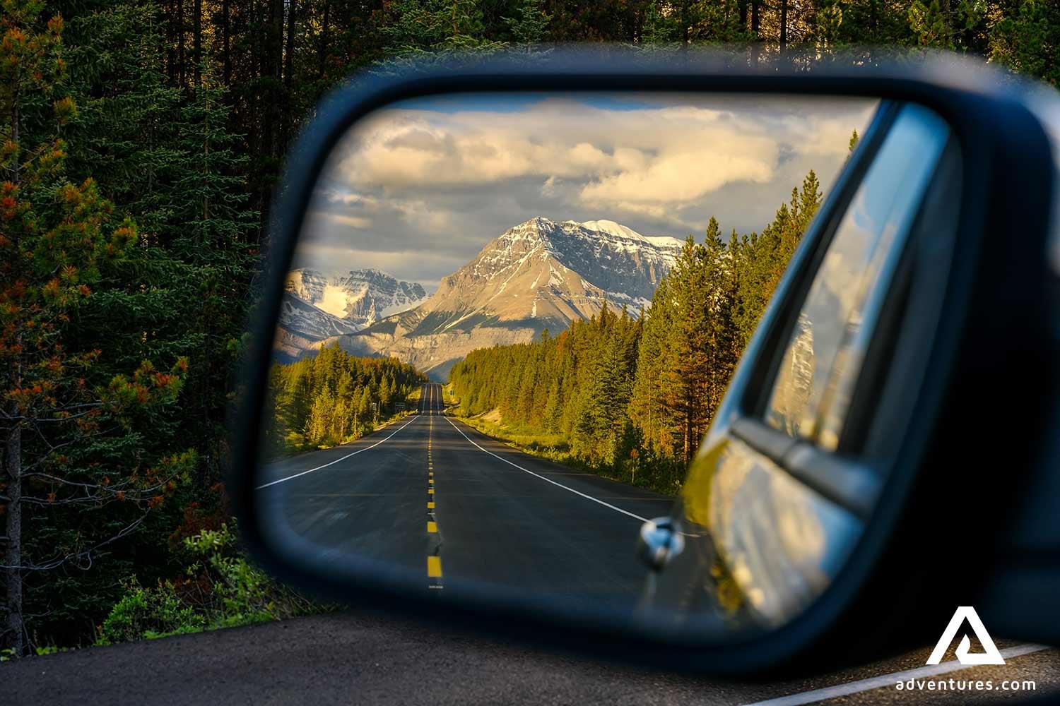 banff park trees in the car mirror in canada