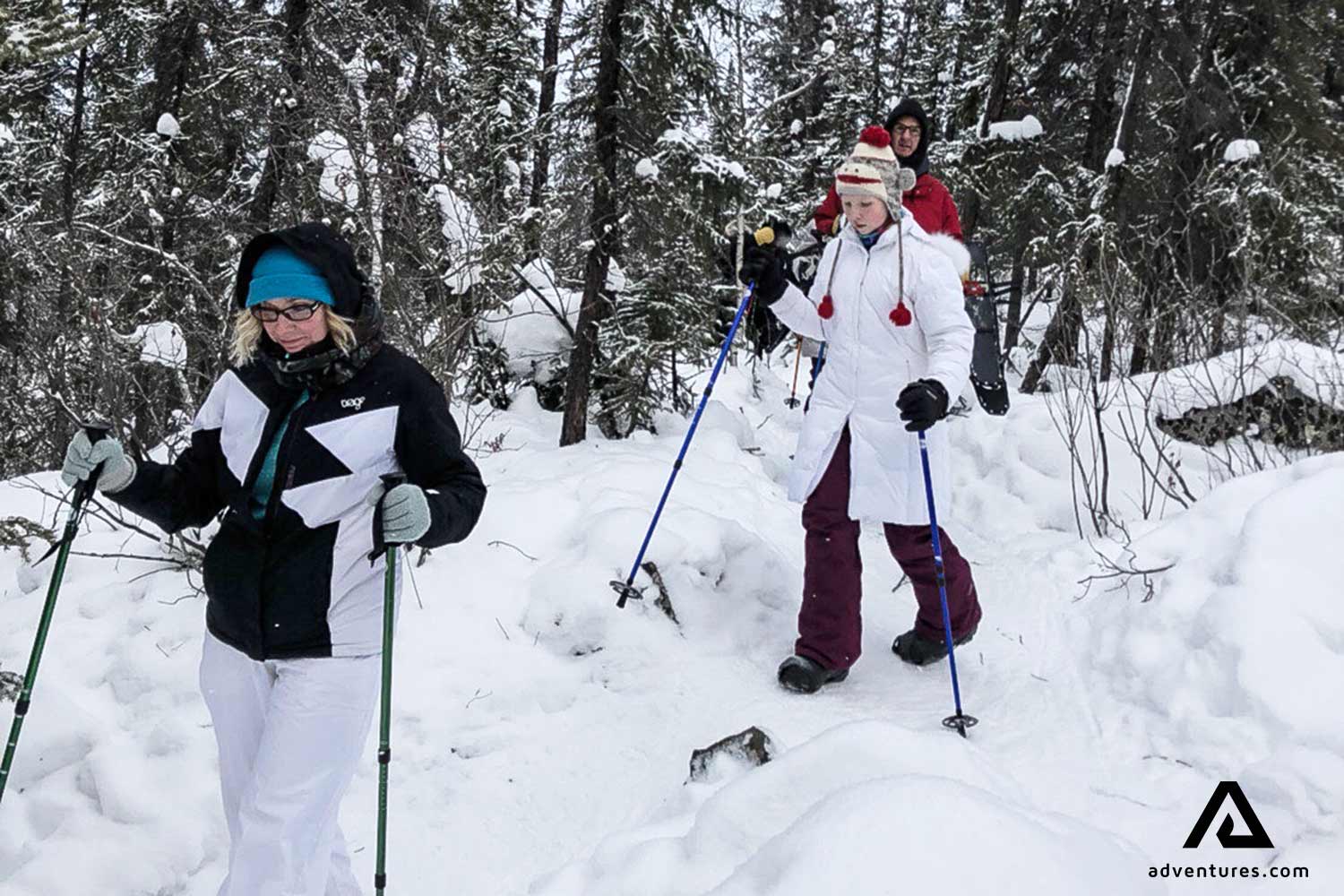 Yellowknife Snowshoeing Excursion