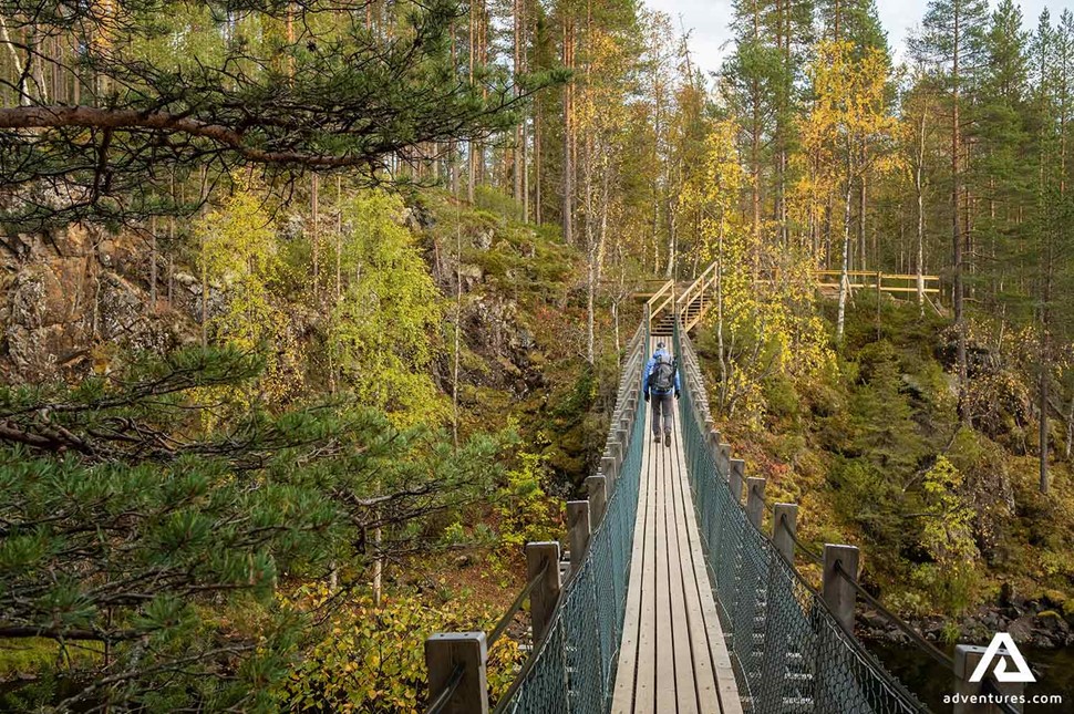 hiking a suspension bridge in Oulanka national park in finland