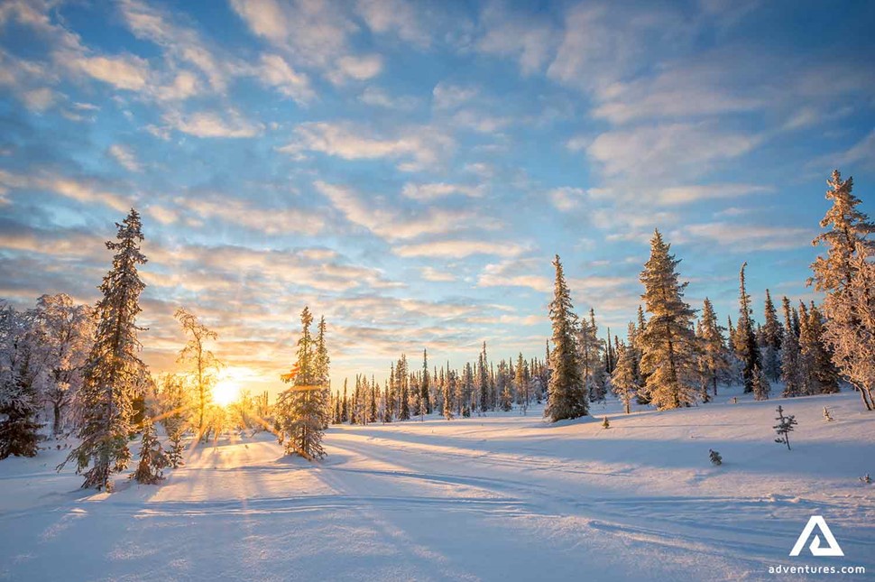 sunset view in a snowy forest in finland 