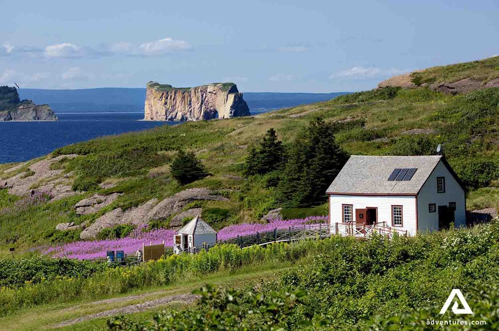 flowers and a building at Gaspe Peninsula in canada