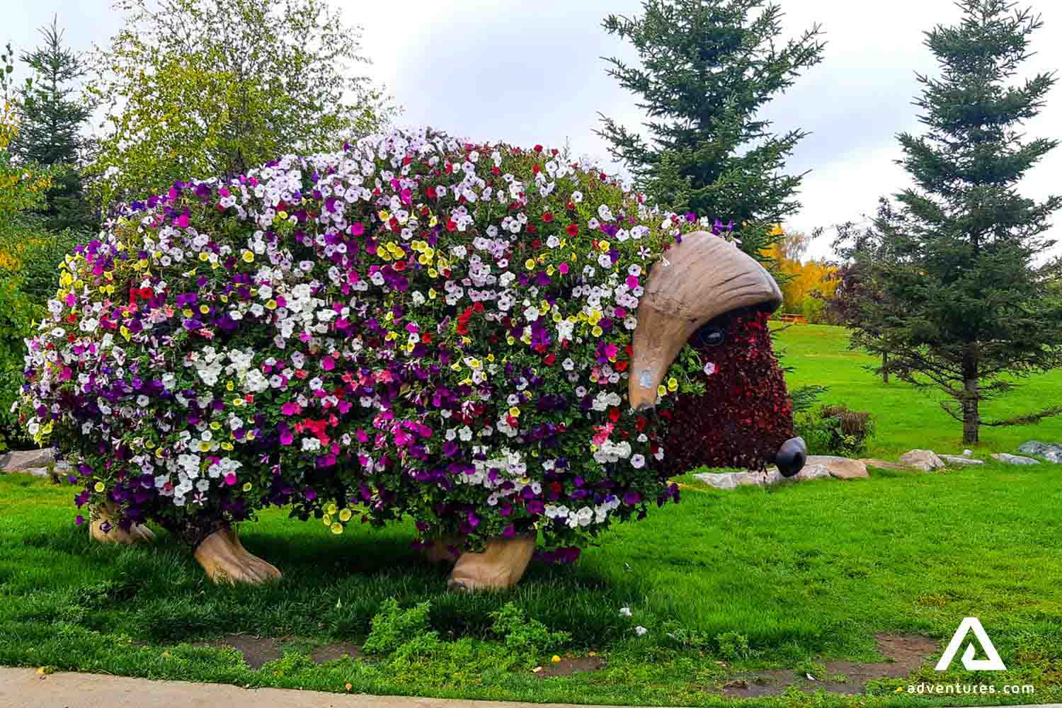 Yellowknife Sightseeing City Tour