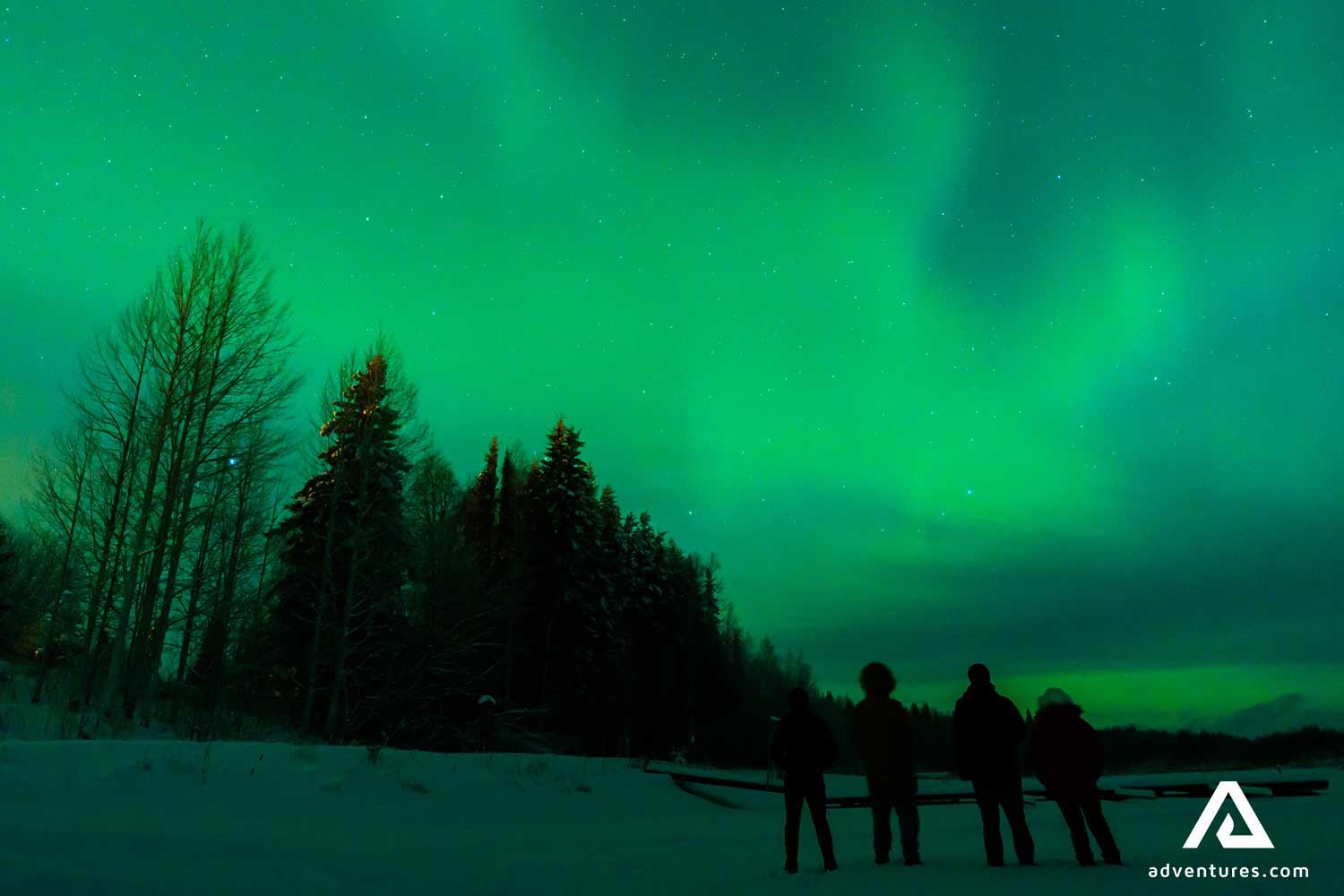 four people watching northern lights in winter