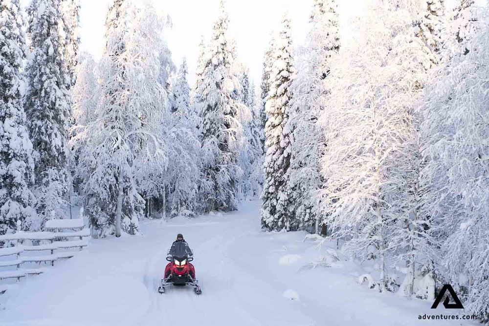 snowmobiling snowy lapland forest 