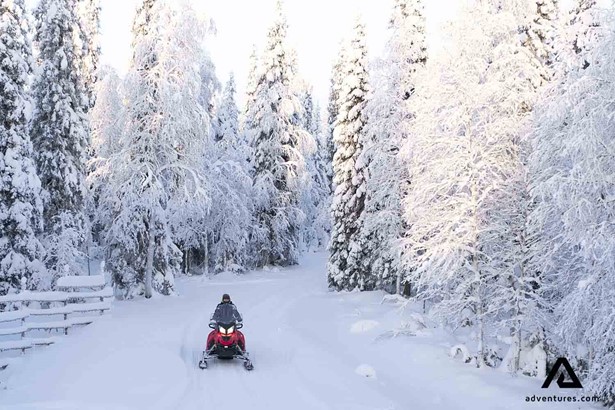 snowmobiling winter snowy lapland forest 