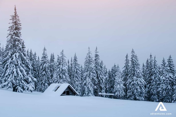 wooden winter cabin in lapland