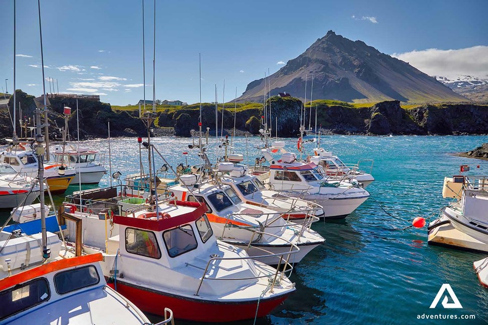 arnarstapi harbor in iceland