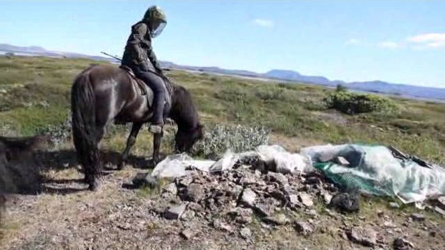 Traveling Iceland's Ring Road