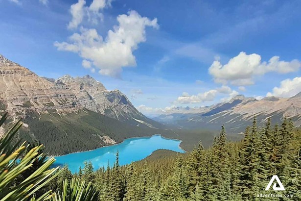 Peyto Lake View in Canada