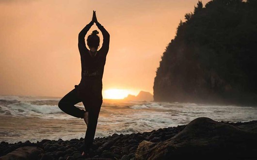 Surf and Cedars: Tofino Yoga & Wellness Surf Retreat