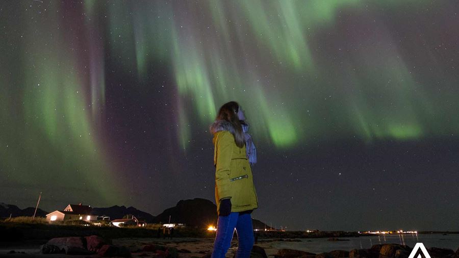 woman watching northern lights in lofoten