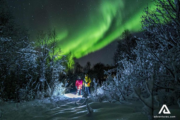 northern lights in snowy tromso forest in norway