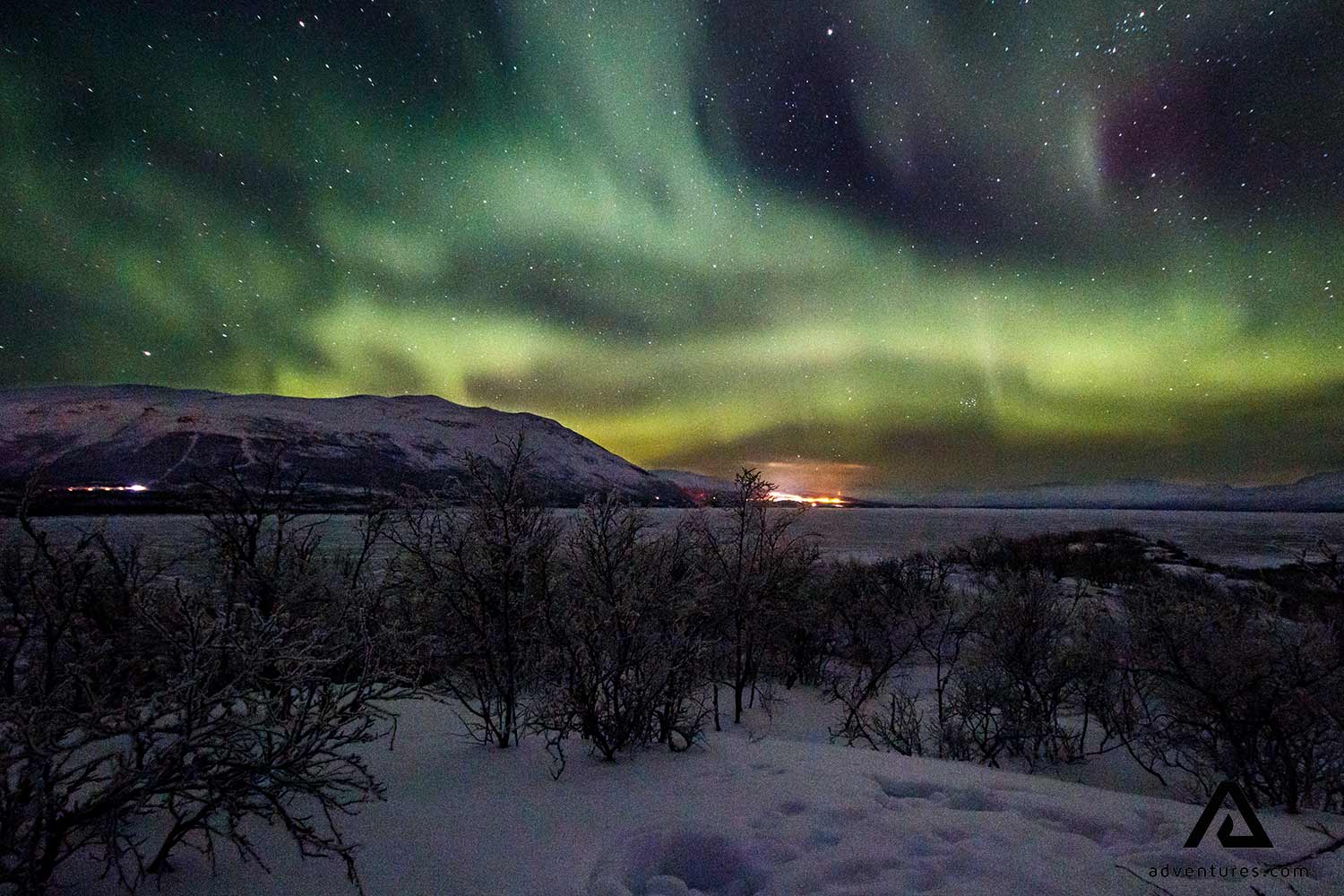 Northern Lights Hunt In Abisko National Park | Adventures.com