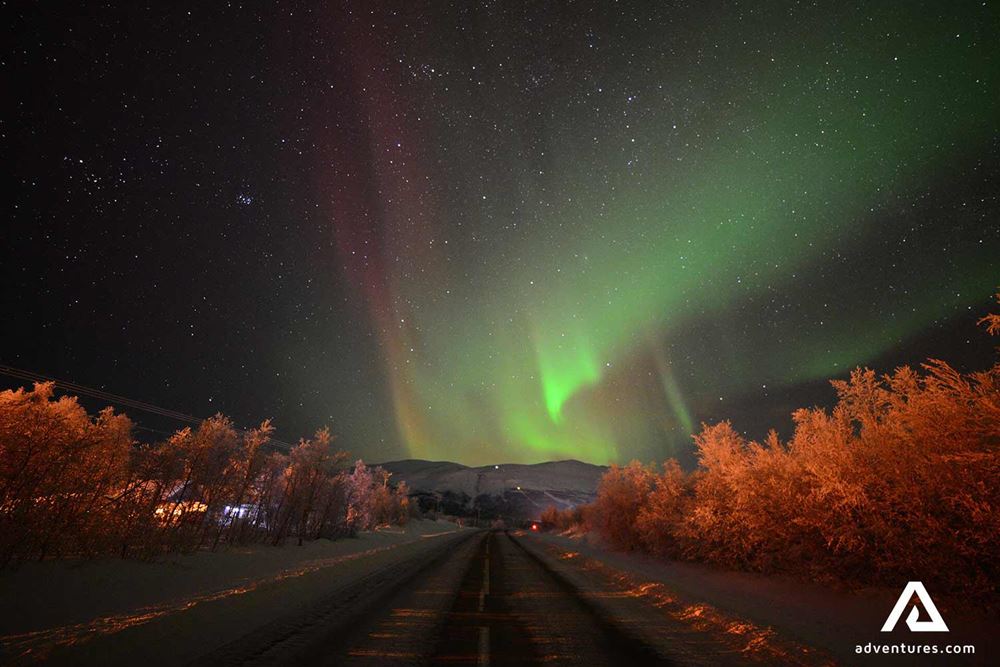 road view with auroras in the sky