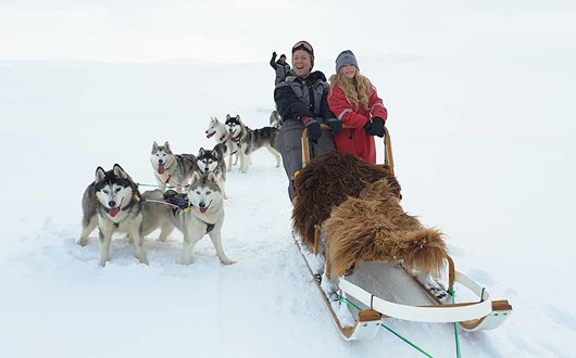 Dogsledding in North Iceland Tour