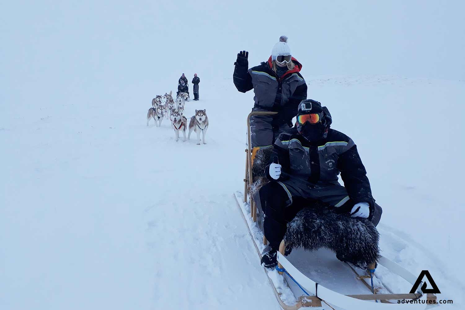 dogsledding in snowy iceland weather