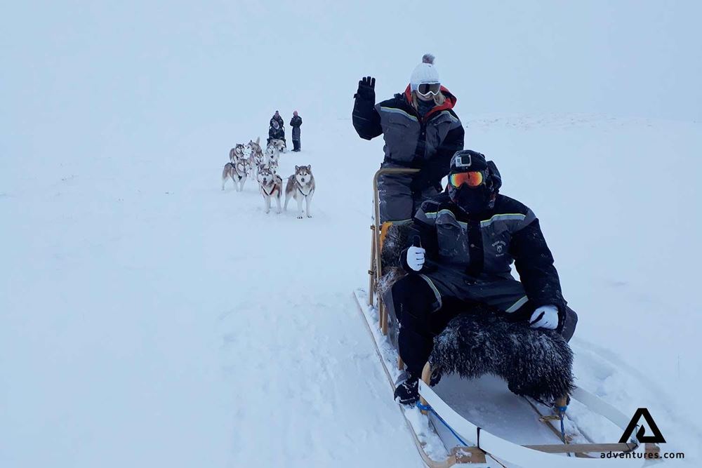 dogsledding in snowy iceland weather