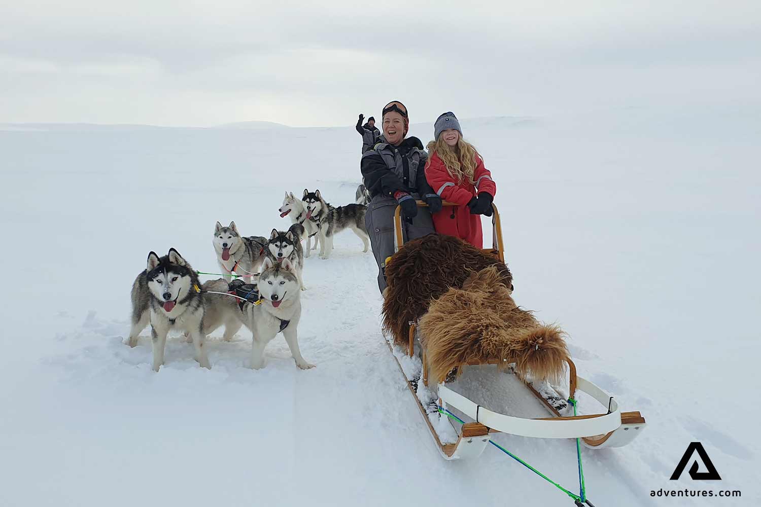 Dogsledding in North Iceland Tour