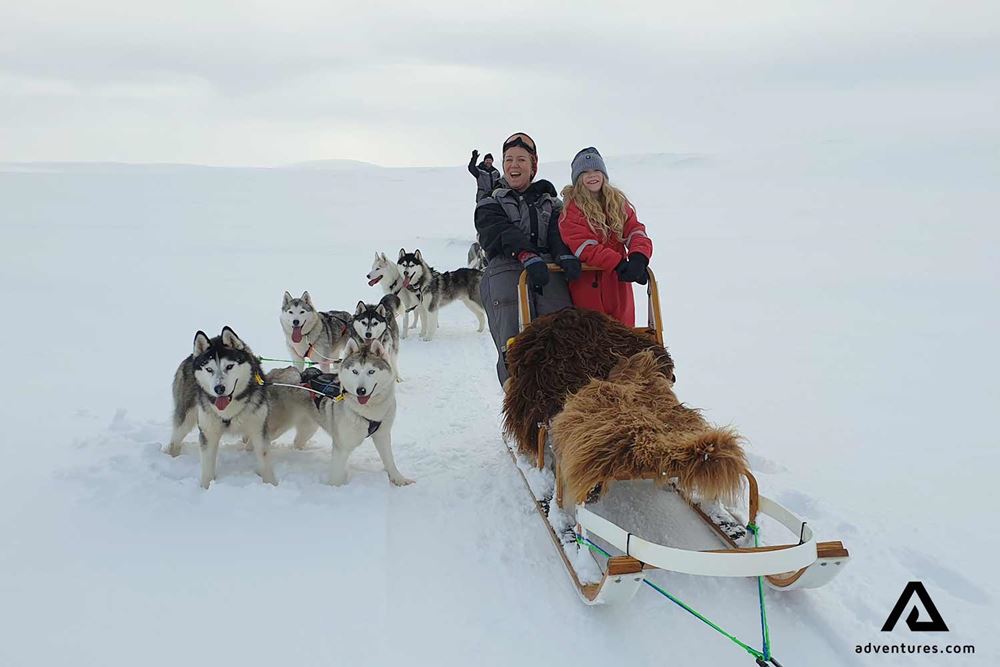 dogsledding in iceland