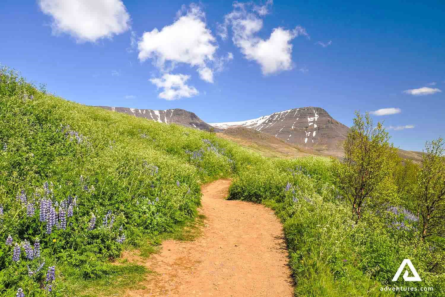 Esja mountain hiking trek in near Reykjavik