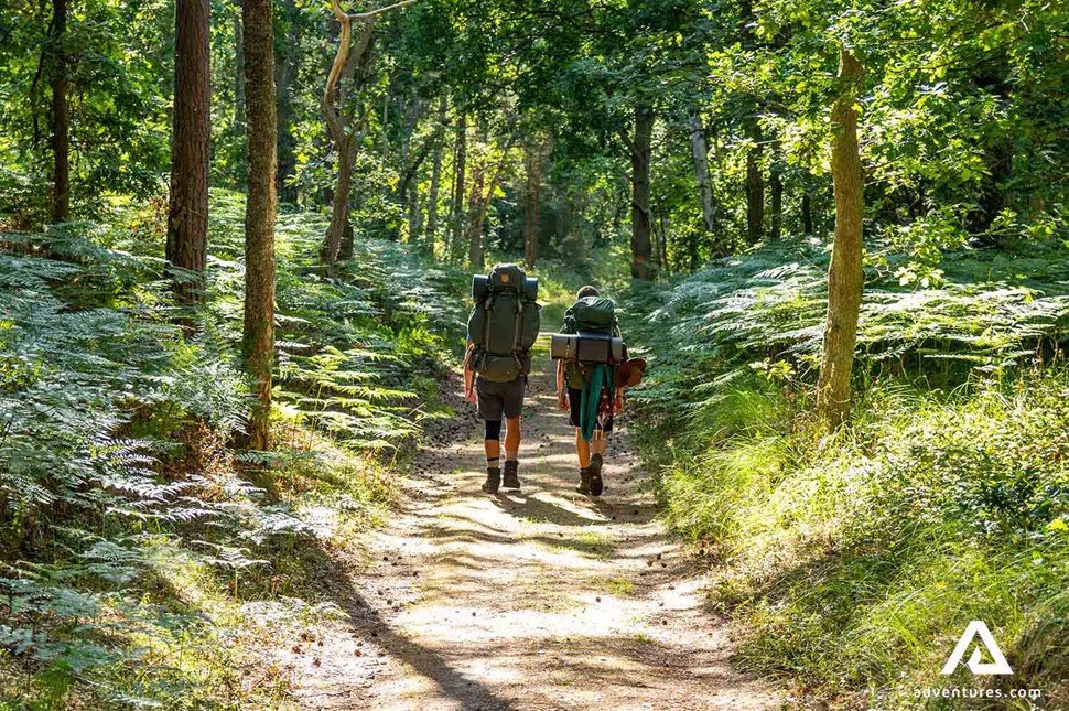 Couple Hiking Skaneleden Trail in Sweden
