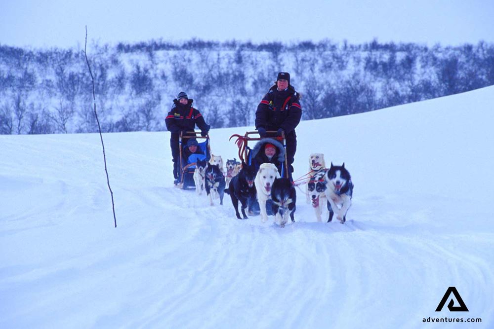 People dogsledding in Norway