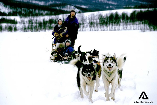 Family of three dogsledding in Norway