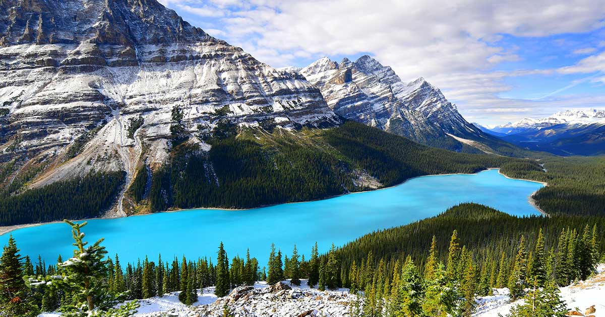 Peyto Lake In Canada