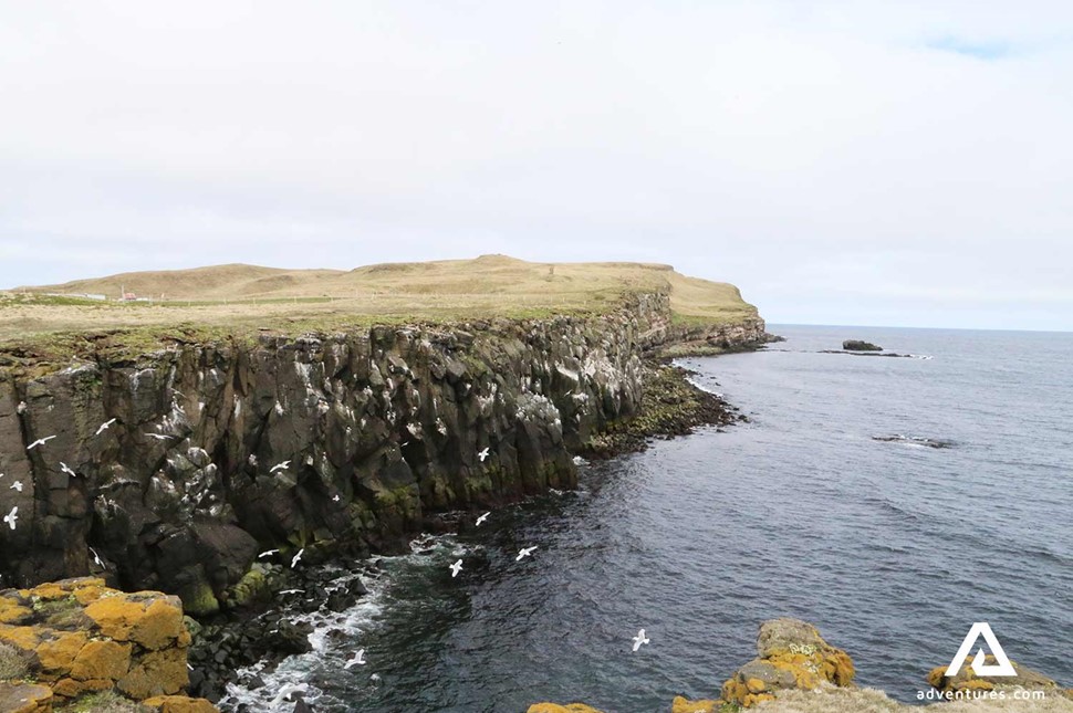 Grimsey Island Cliffs Seaside