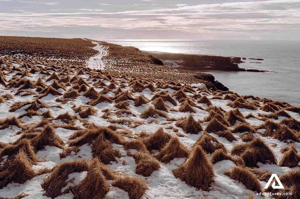 Winter Snowy View of Grimsey Island Oceanside