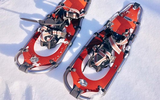 Snowshoeing, Santa Claus Village, Husky Ride & Arctic SnowHotel