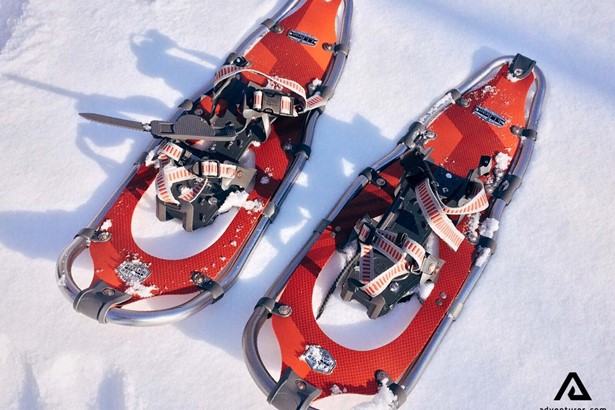 snowshoeing tour in Lapland