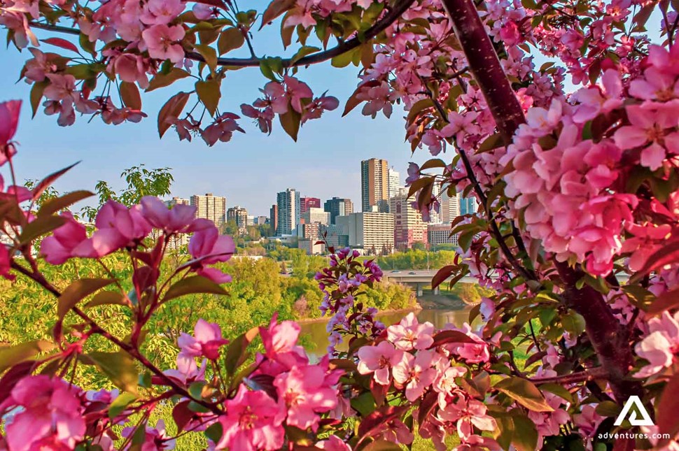 Edmonton city distance view in spring