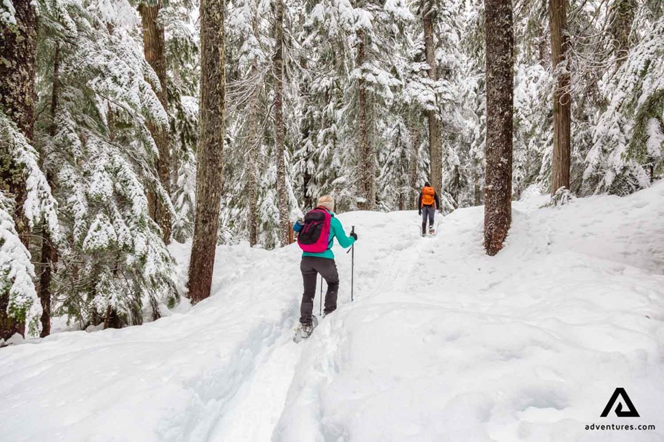 couple snowshoeing in Canadian forests