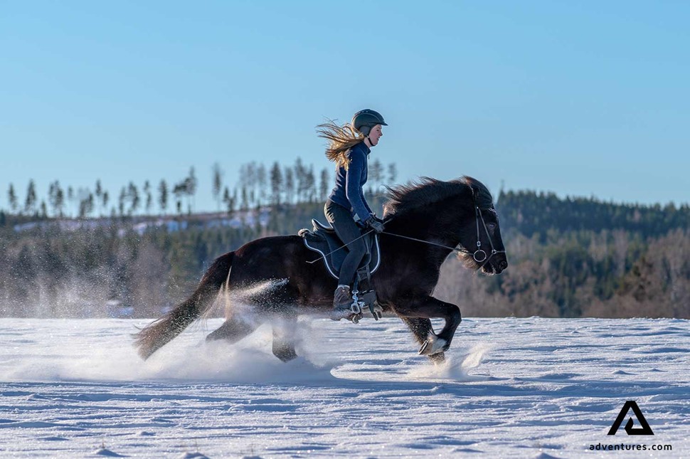 woman horse riding in sweden