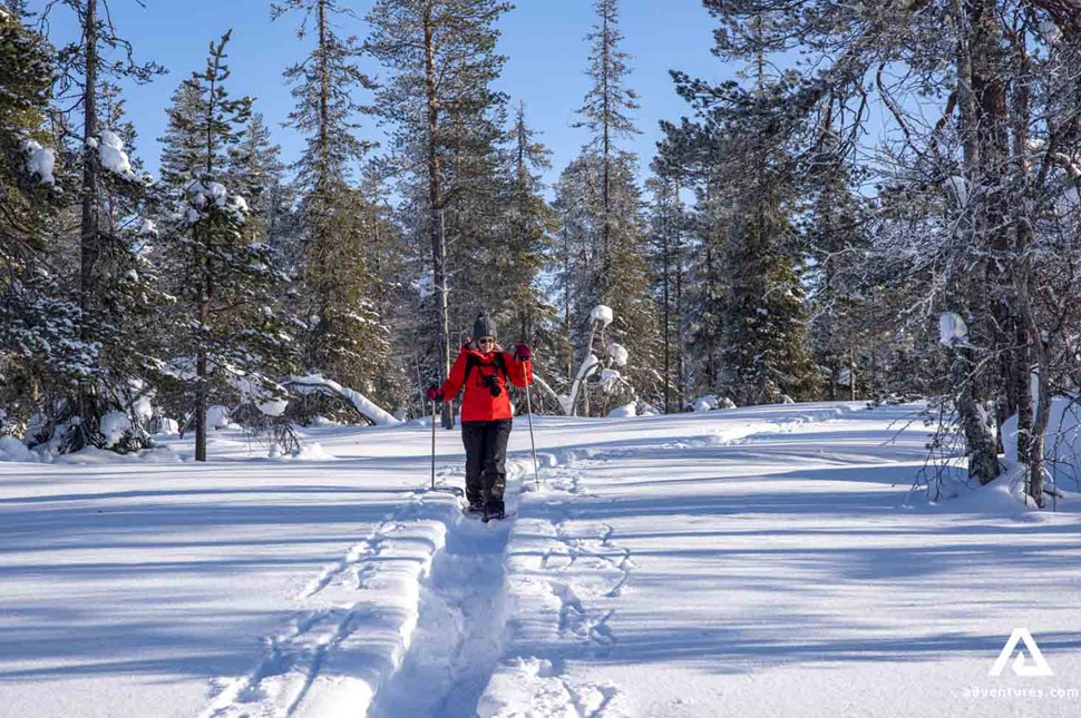 snowshoeing tour in Lapland