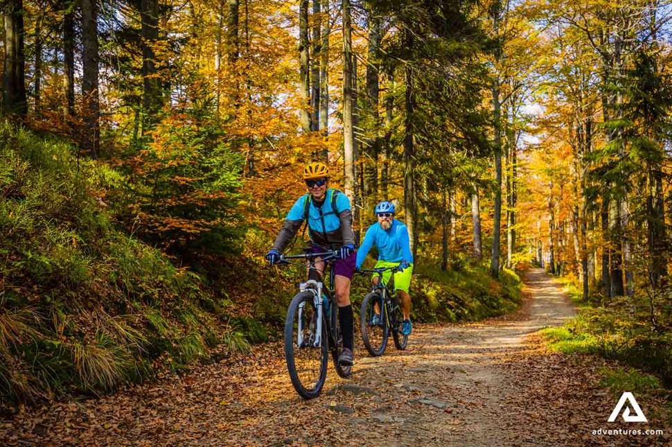 Mountain biking in Nelson city