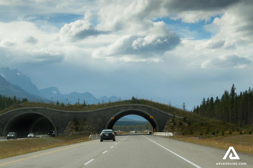 highway road of Alberta province in Canada
