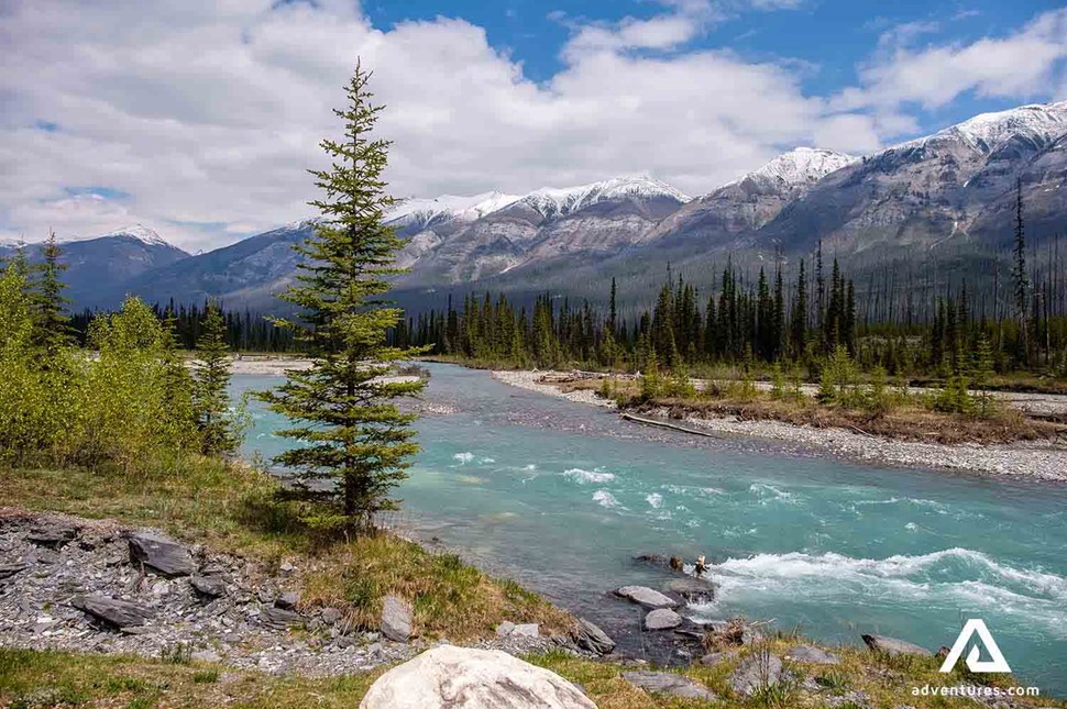 Vermilion river in Kootenay National Park