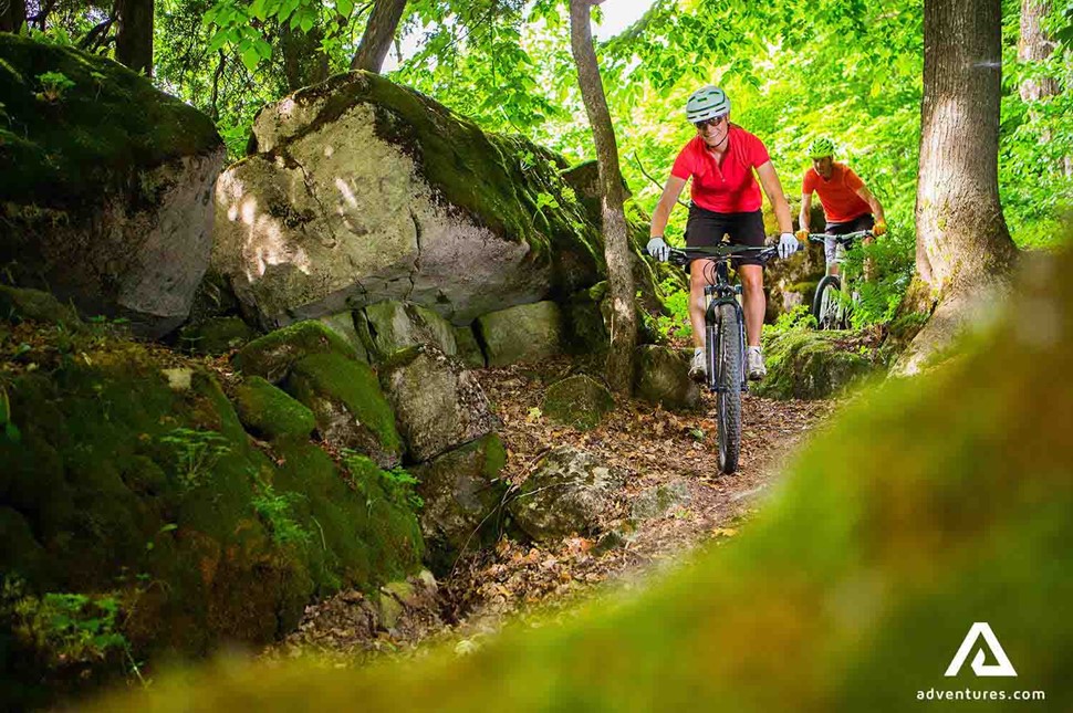 Summer forest biking in Canada