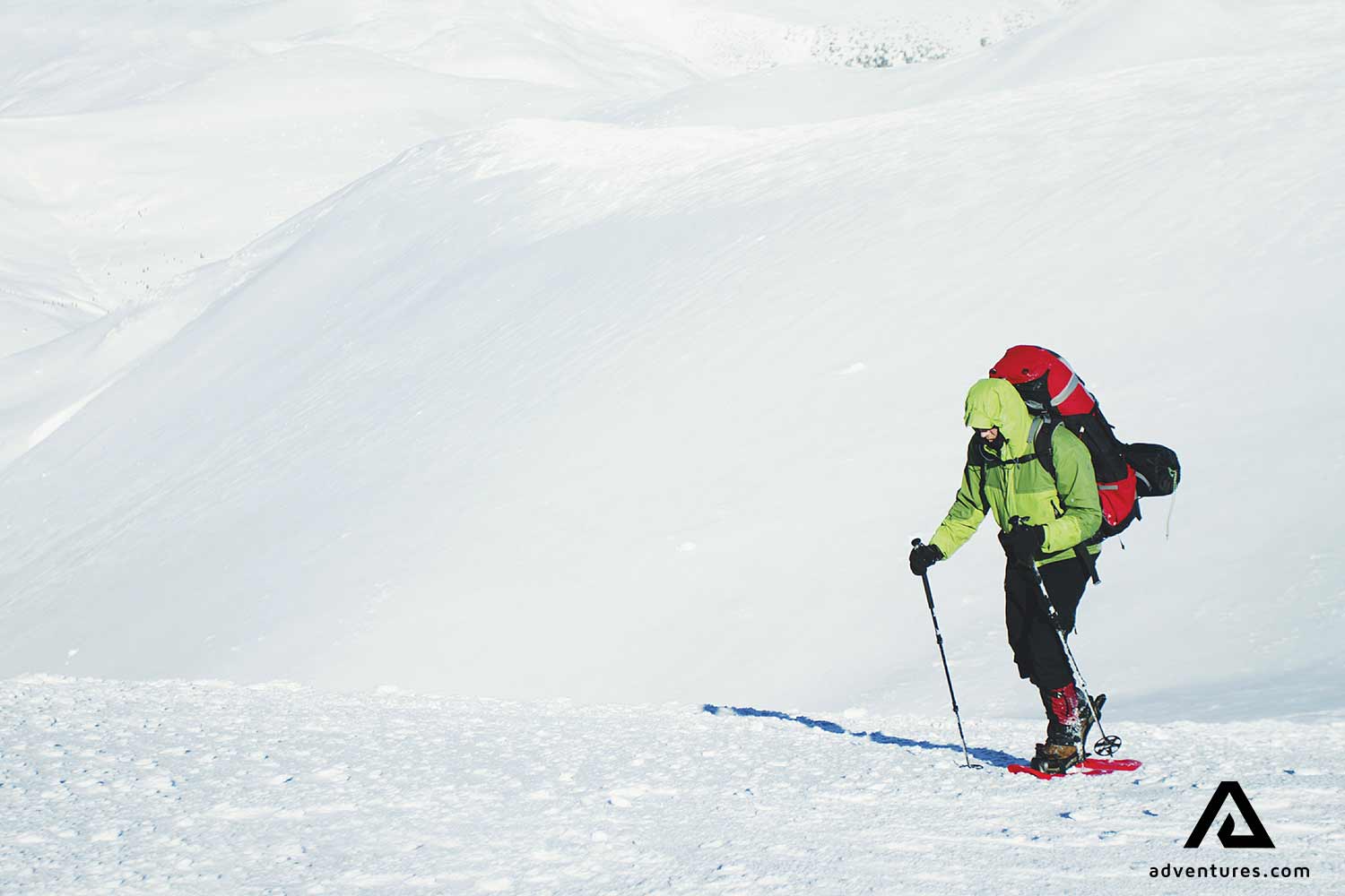 Snowshoeing in the Mountain in  Canada 
