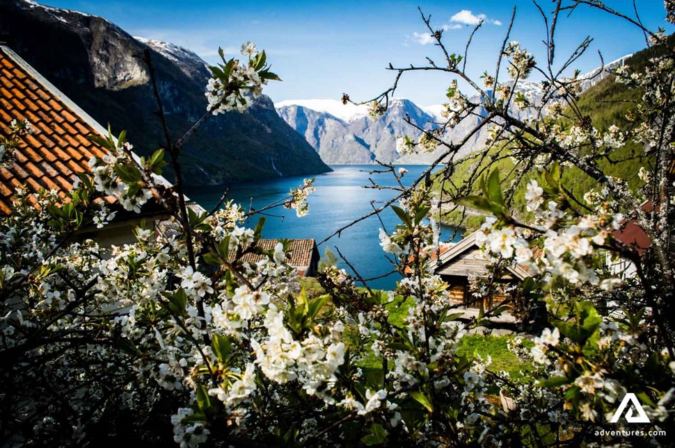 Landscape Of Aurlandsfjord in Norway
