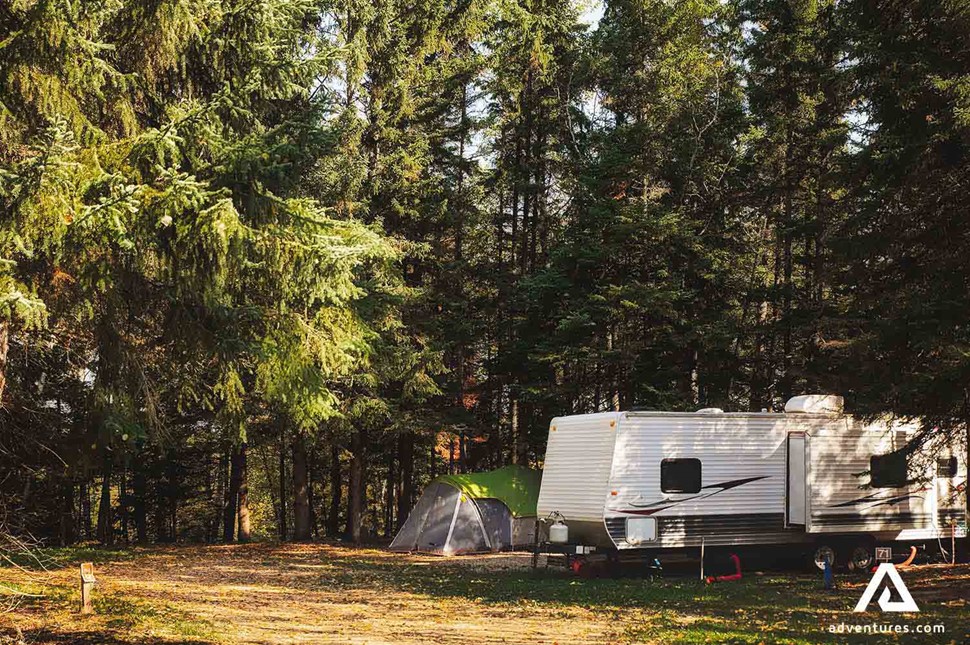 Campervan Canadian forest