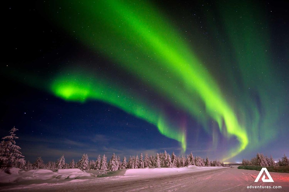 Northern lights above snowy forest of Canada