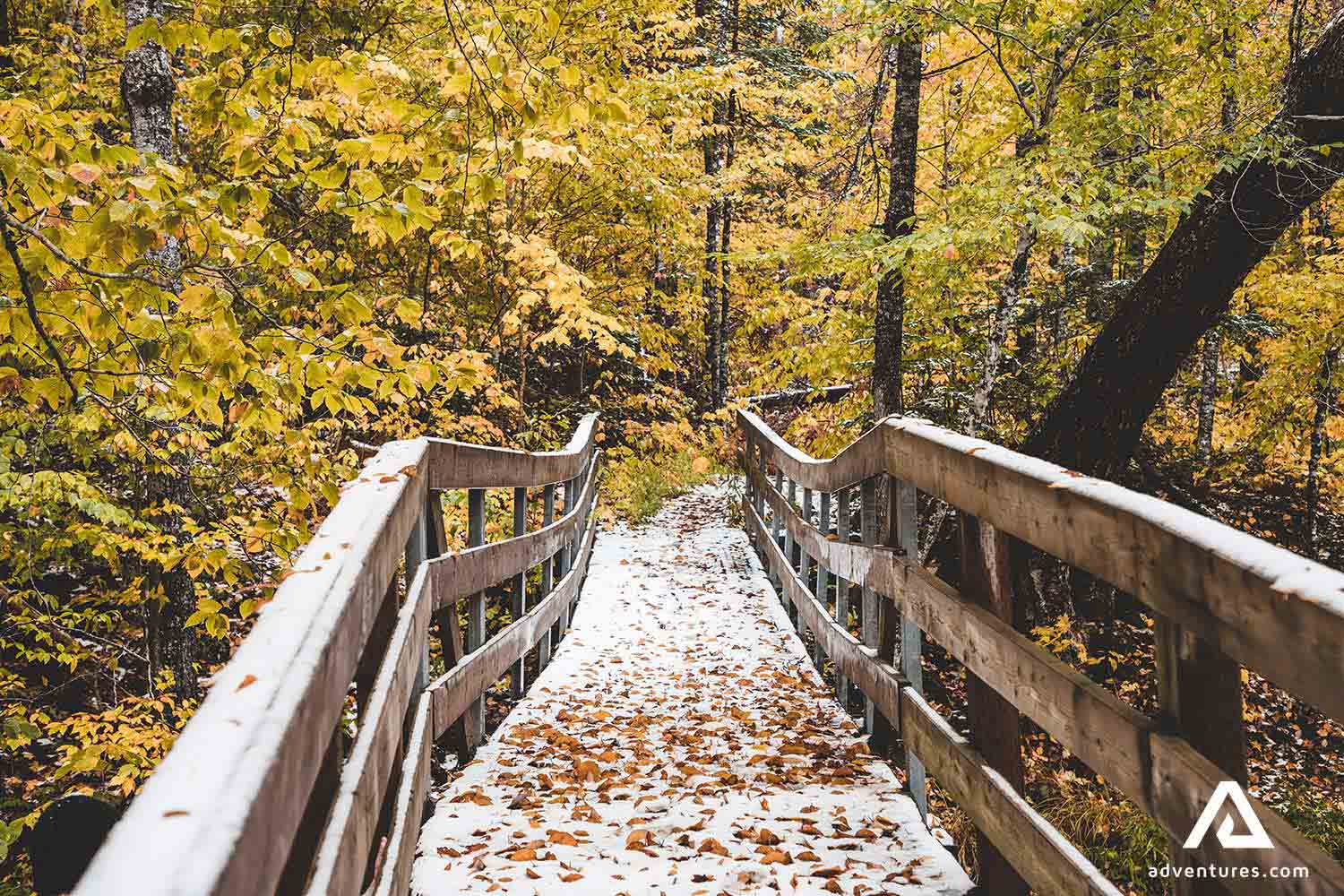 Cape Breton National Park hiking trail