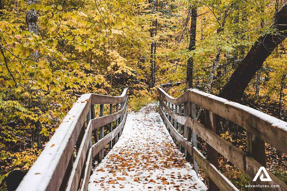 Cape Breton National Park hiking trail