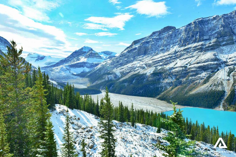 Peyto Glacier in Canada