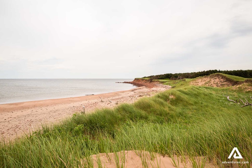 Charlottetown beach in Prince Edward Island